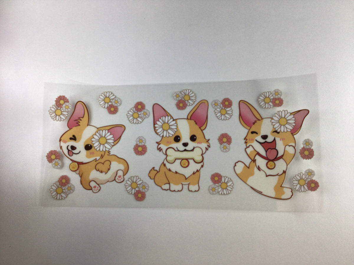 Corgie
